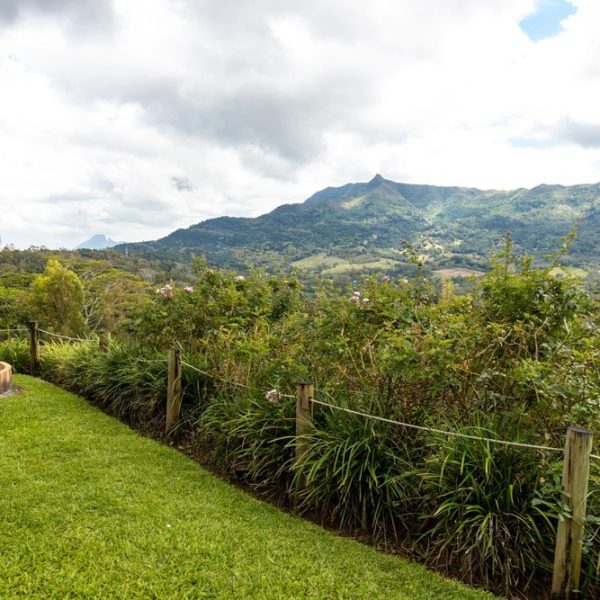CHAMAREL GREEN COTTAGE-100