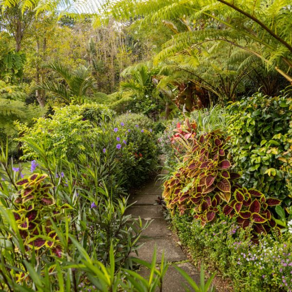 CHAMAREL GREEN COTTAGE-101