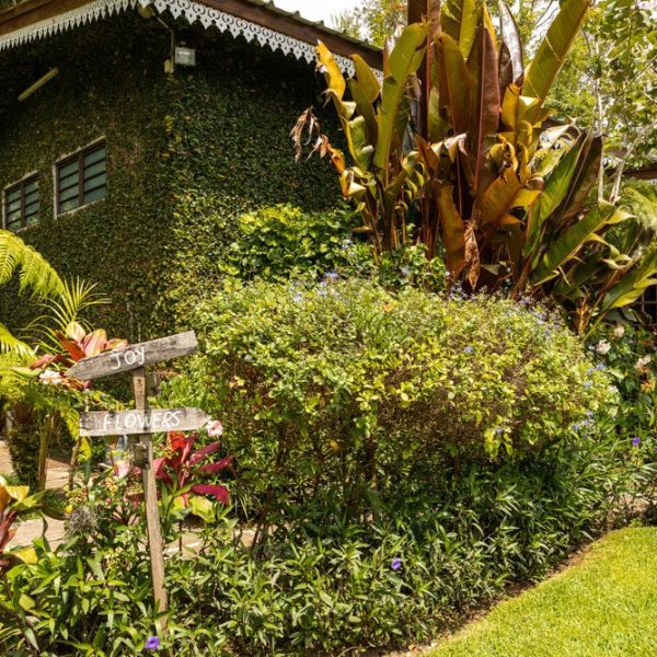 CHAMAREL GREEN COTTAGE-103