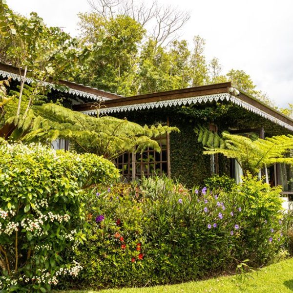 CHAMAREL GREEN COTTAGE-104