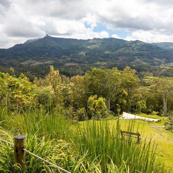 CHAMAREL GREEN COTTAGE-106