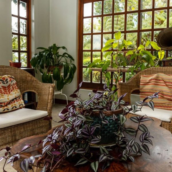 CHAMAREL GREEN COTTAGE-138