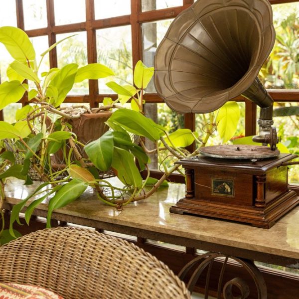 CHAMAREL GREEN COTTAGE-161