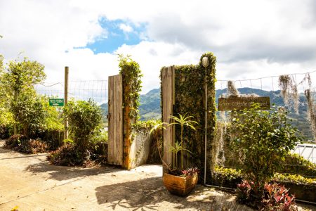 CHAMAREL-GREEN-COTTAGE-84.jpg