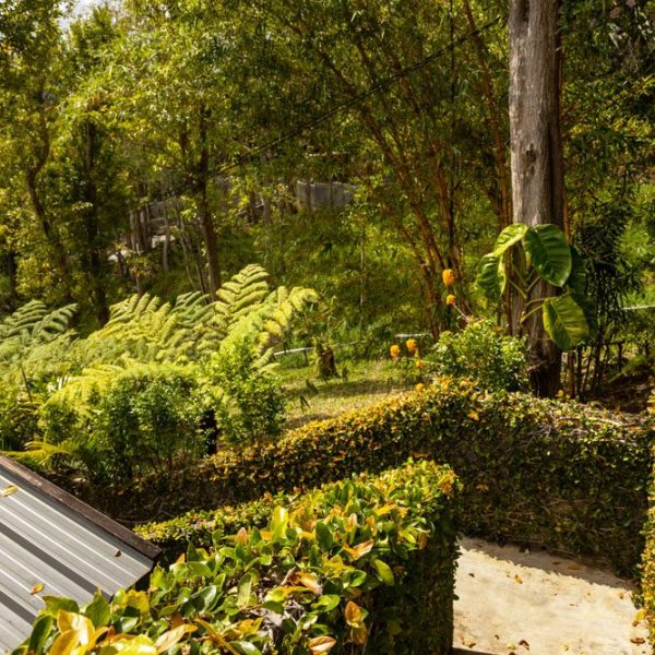 CHAMAREL GREEN COTTAGE-85