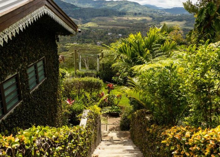 CHAMAREL GREEN COTTAGE-86