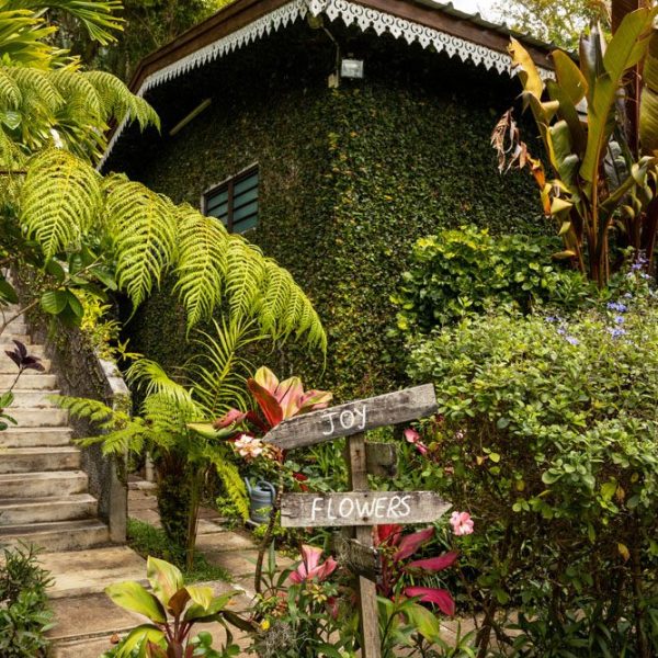 CHAMAREL GREEN COTTAGE-89