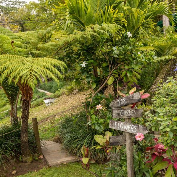 CHAMAREL GREEN COTTAGE-90