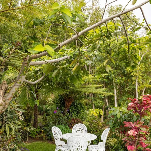 CHAMAREL GREEN COTTAGE-92