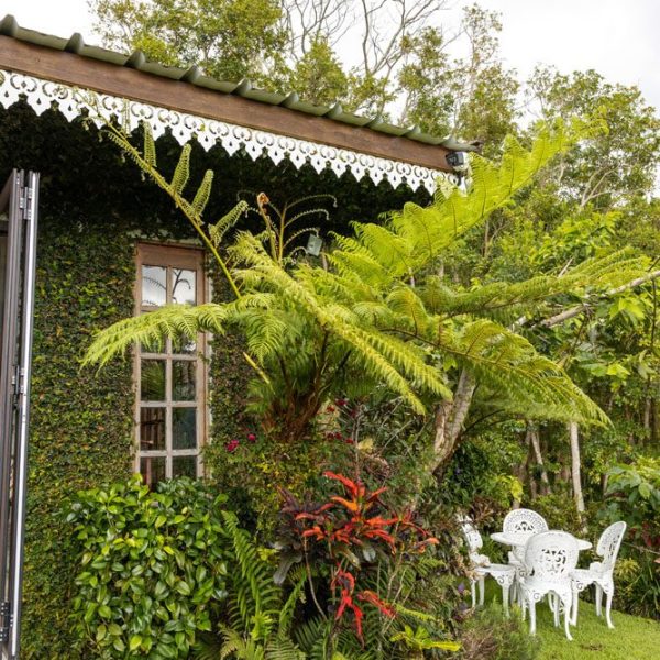 CHAMAREL GREEN COTTAGE-94
