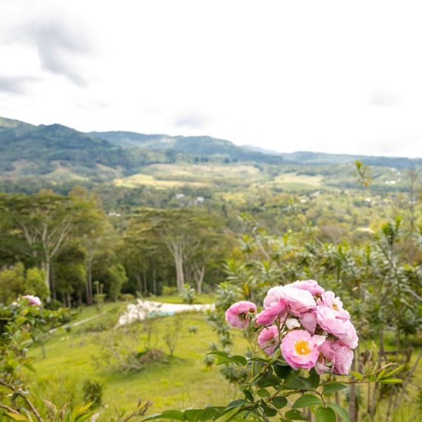 CHAMAREL GREEN COTTAGE-98