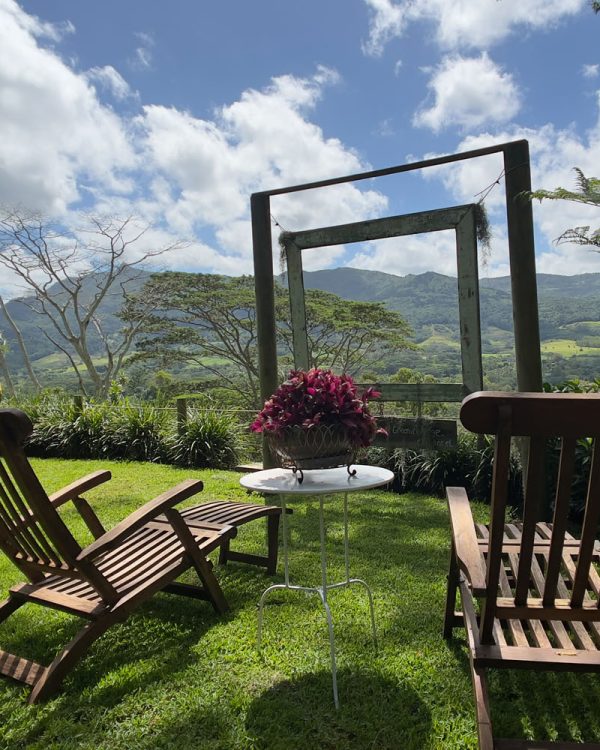 Green Cottage March 2023 (38 of 124)