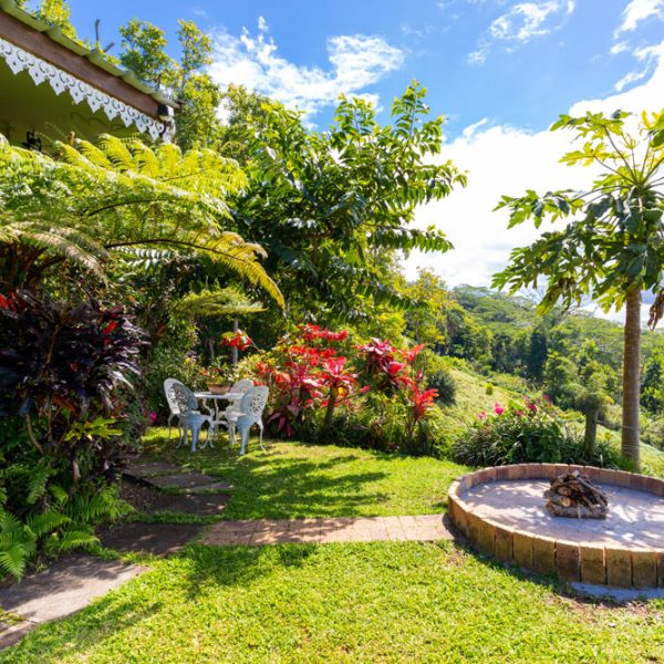 TREEFERN OUTSIDE-10