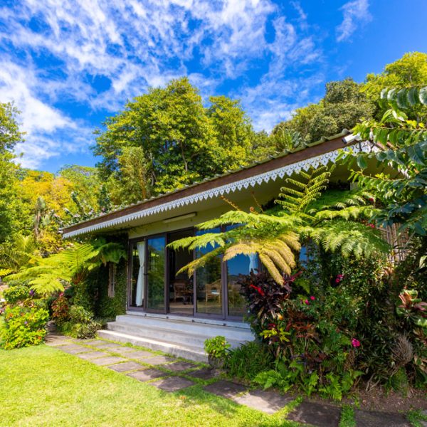 TREEFERN OUTSIDE-7