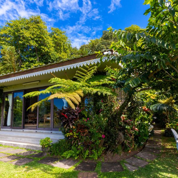 TREEFERN OUTSIDE-8